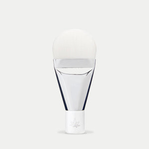 Detox + Renew Charcoal Clay Mask | Botanika Life